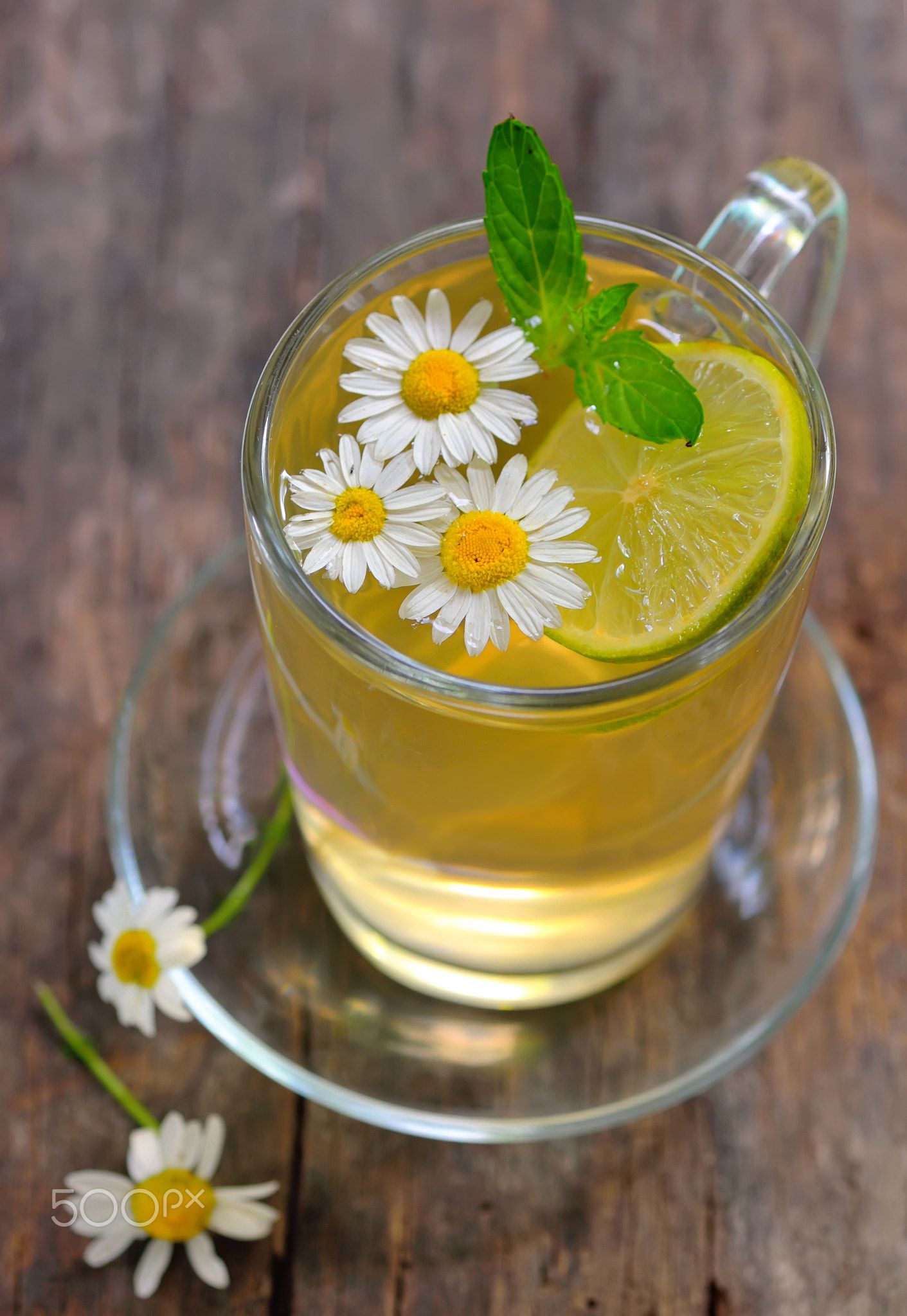 Chamomile